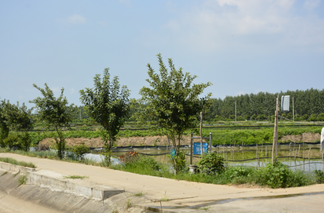 微信截图_20230818133545.png